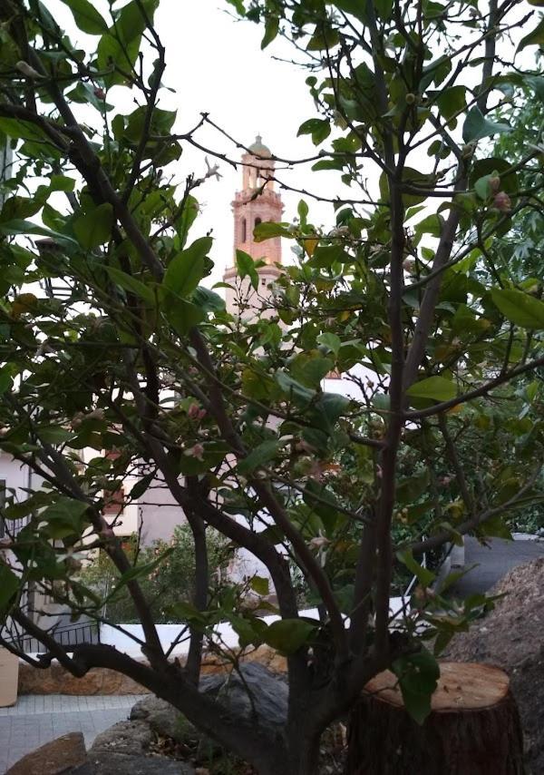 Casa Rural Teresa La Cuca Villa เฆริกา ภายนอก รูปภาพ